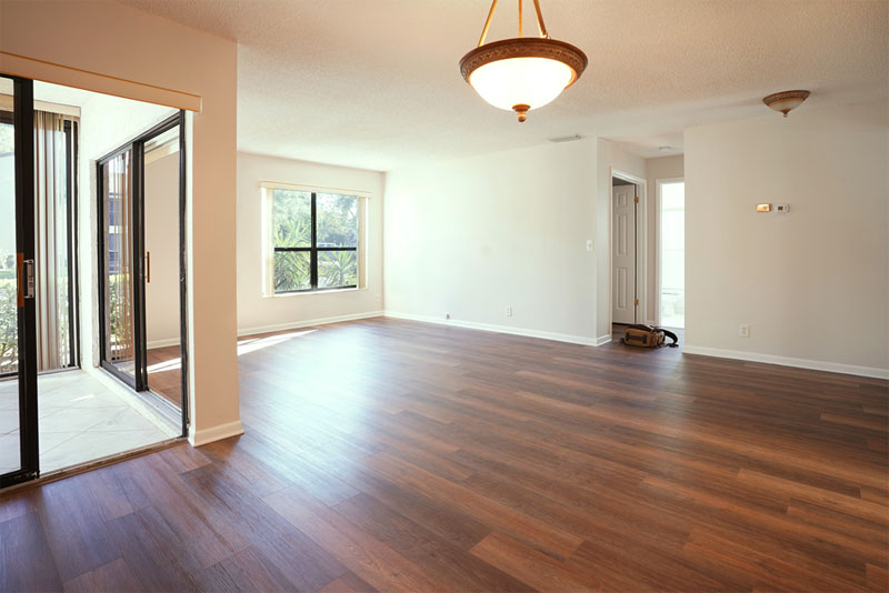 painting by Vincent Monaco